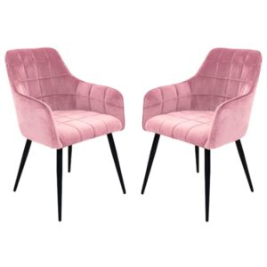 Vernal Blush Velvet Dining Chairs With Black Legs In Pair